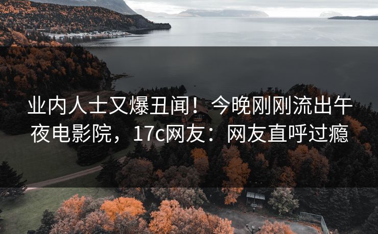 业内人士又爆丑闻！今晚刚刚流出午夜电影院，17c网友：网友直呼过瘾